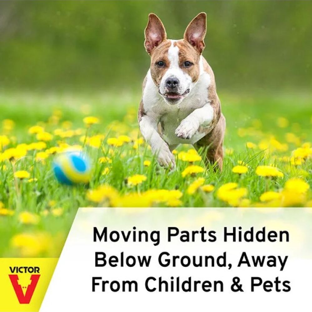 Victor, Out O'Sight Mole Trap, 0631A