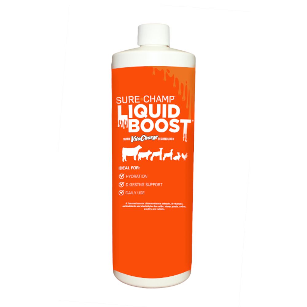 Vita Charge Liquid Boost 1 Liter