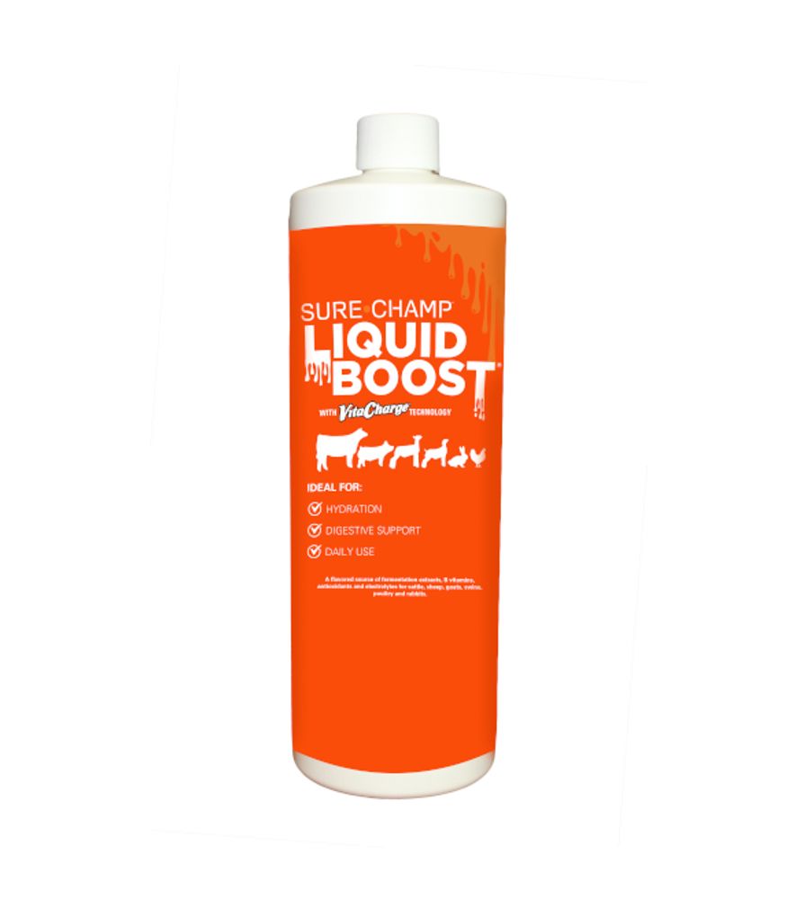 Vita Charge Liquid Boost 1 Liter