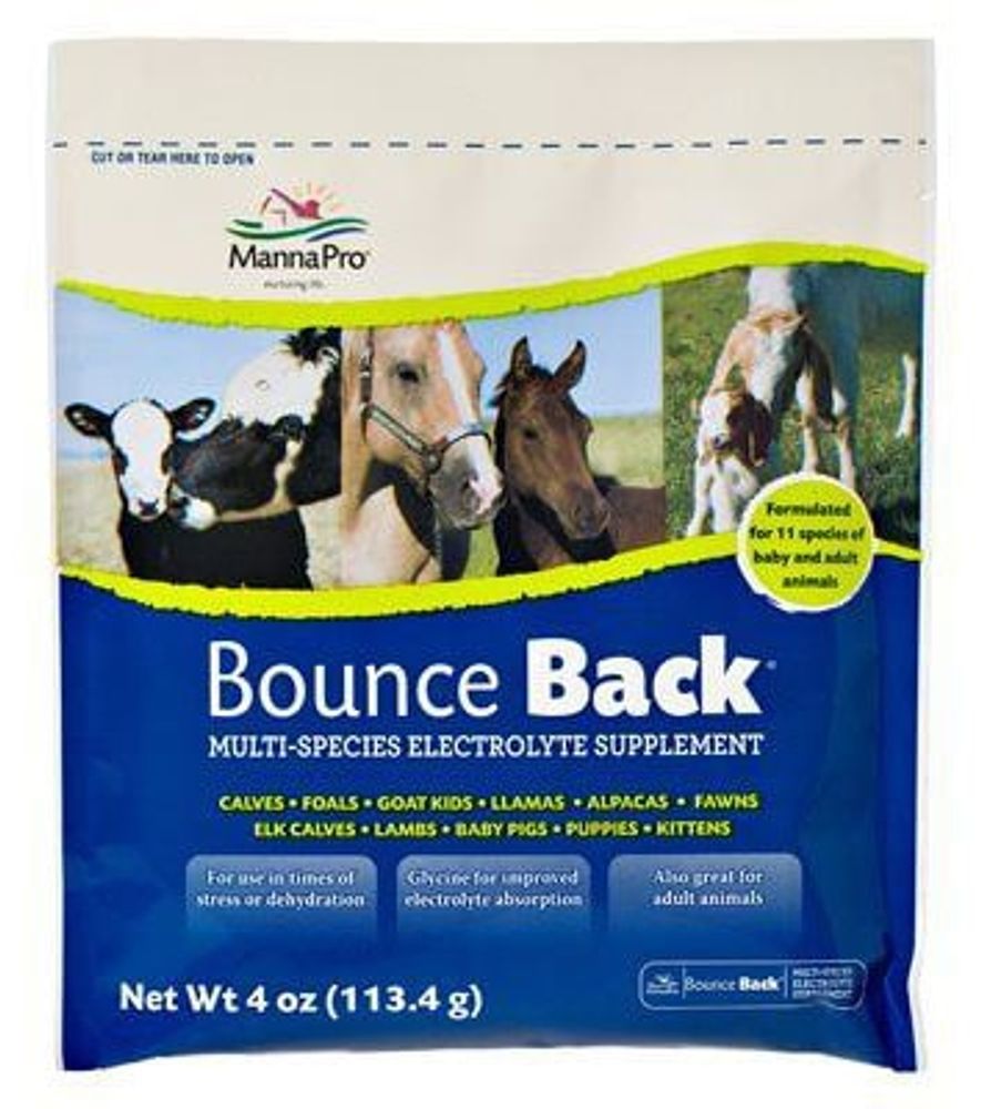 Manna Pro Bounce Back Electrolyte, 4 oz.