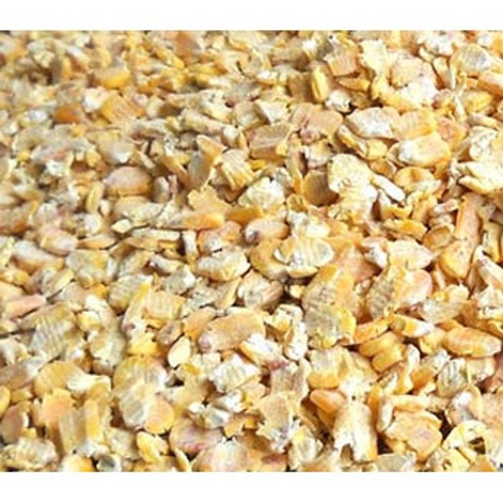 Grainland Select, Rolled Corn, 50 lb