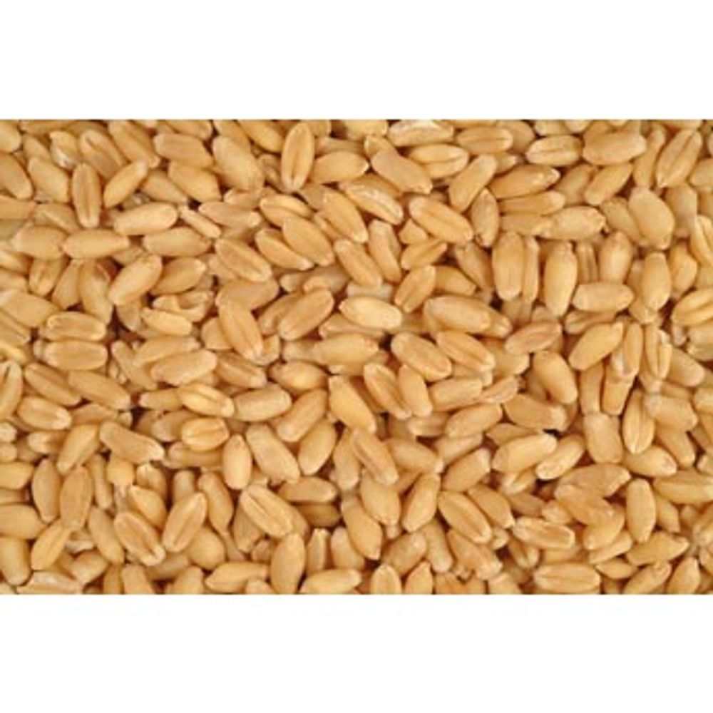 Cascade Feed, Wheat Whole, 50 lb
