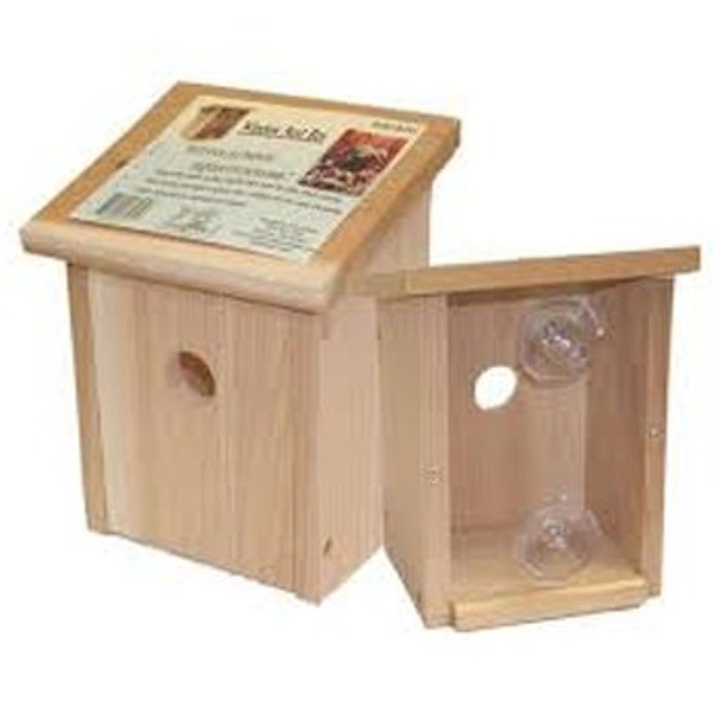 Songbird Essentials Nest View Bird House