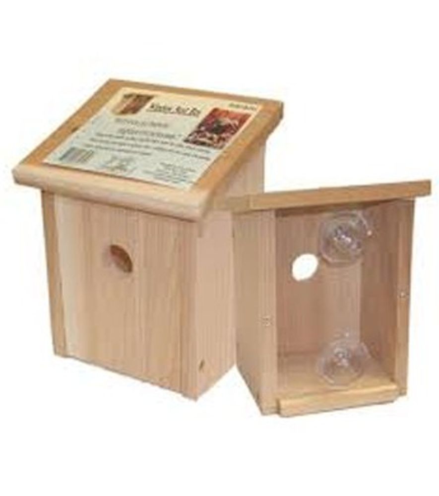Songbird Essentials Nest View Bird House