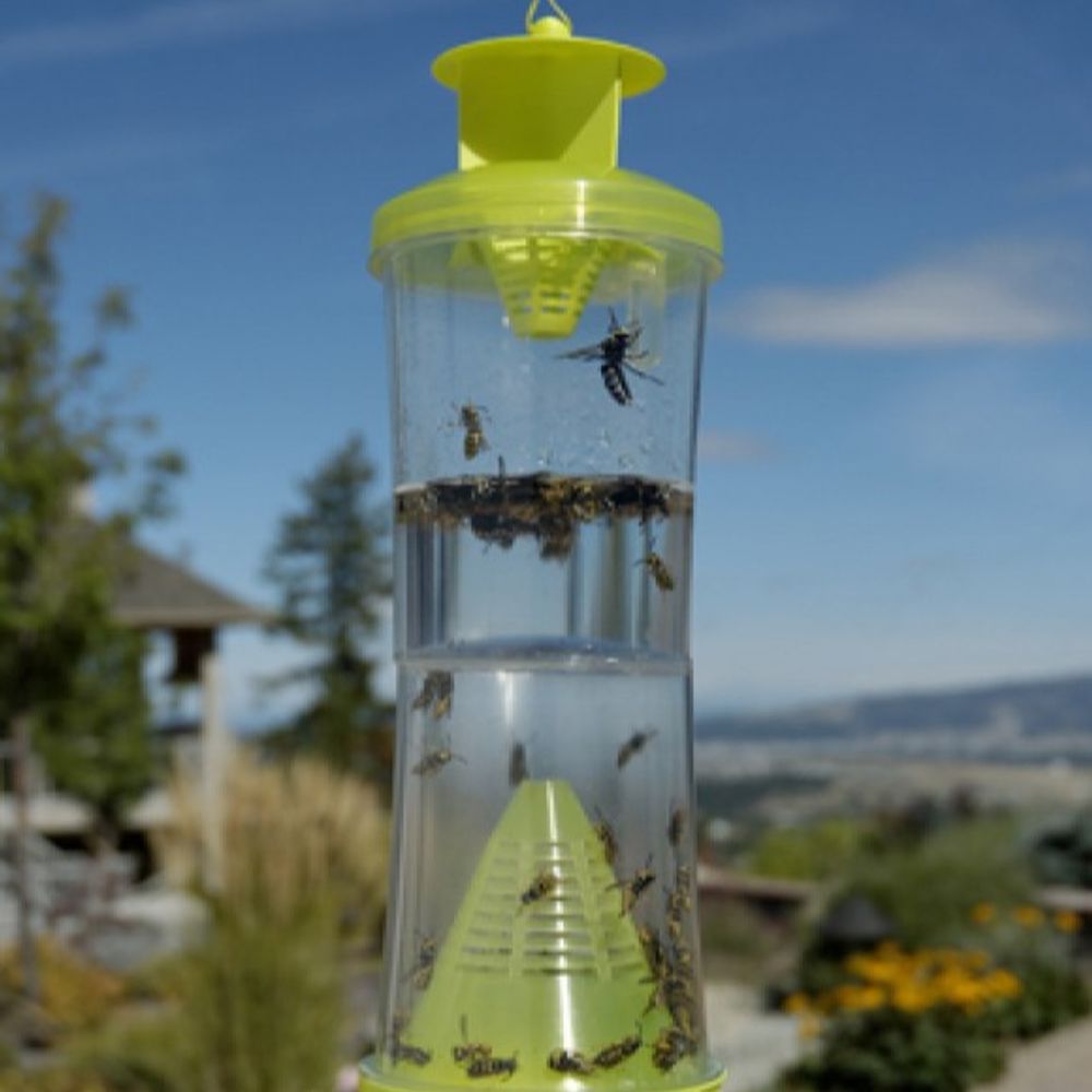 Resuce, WHY Wasp & Hornets & Yellow Jacket Trap