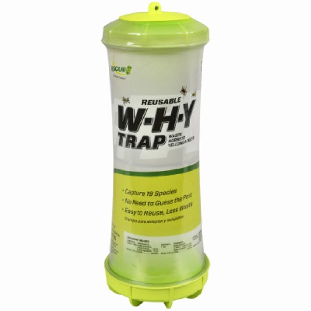 Resuce, WHY Wasp & Hornets & Yellow Jacket Trap