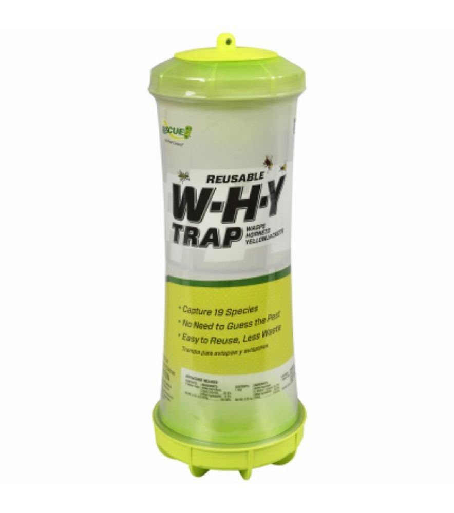 Resuce, WHY Wasp & Hornets & Yellow Jacket Trap
