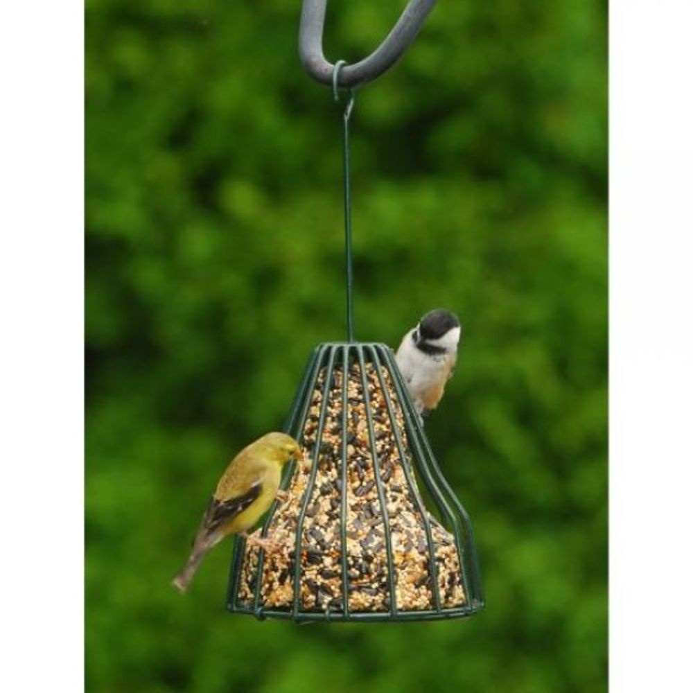 Songbird Essentials, Birdie Bell 