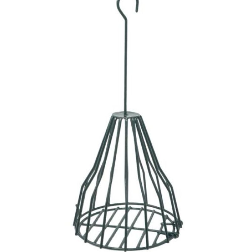 Songbird Essentials, Birdie Bell 
