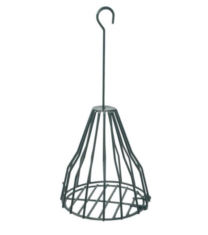 Songbird Essentials, Birdie Bell
