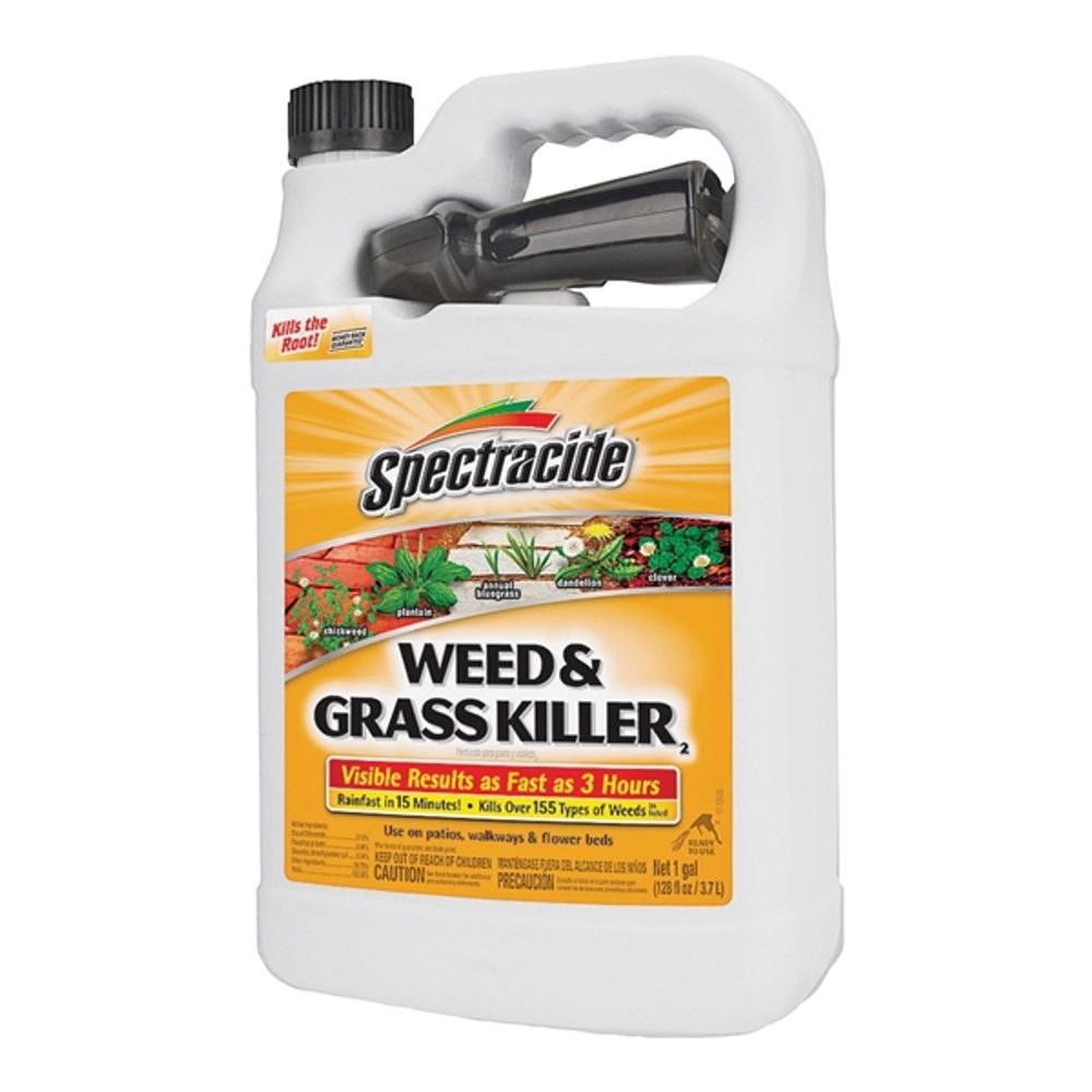 Spectracide Weed & Grass Killer, RTU, 1 gal.