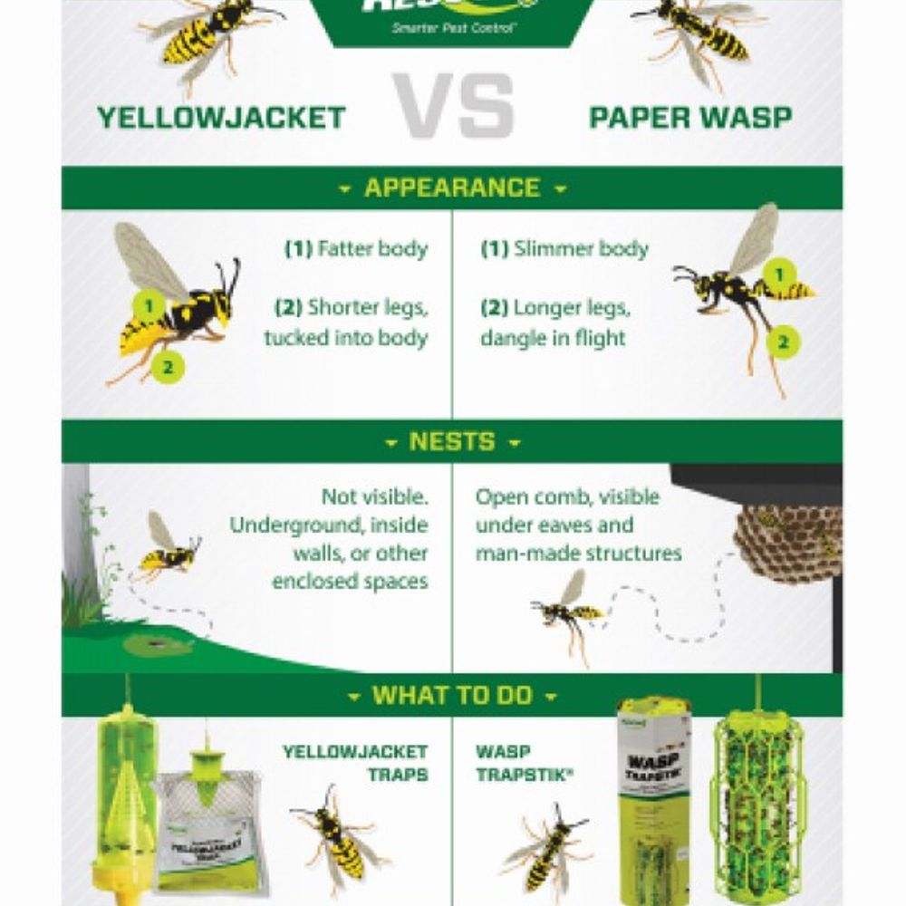 Rescue, Reusable Yellowjacket Trap 