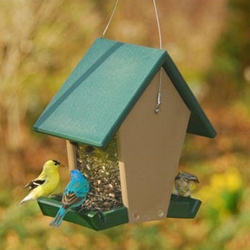 Songbird Essentials Recycled Plastic Hopper Bird Feeder, Small