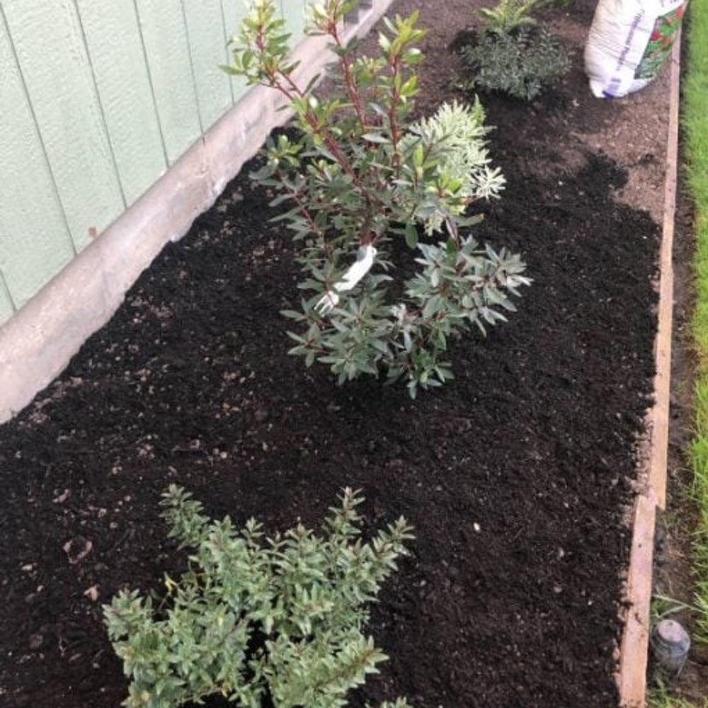 Wilco, Professional Planting Mix, 1.5 cu. ft.