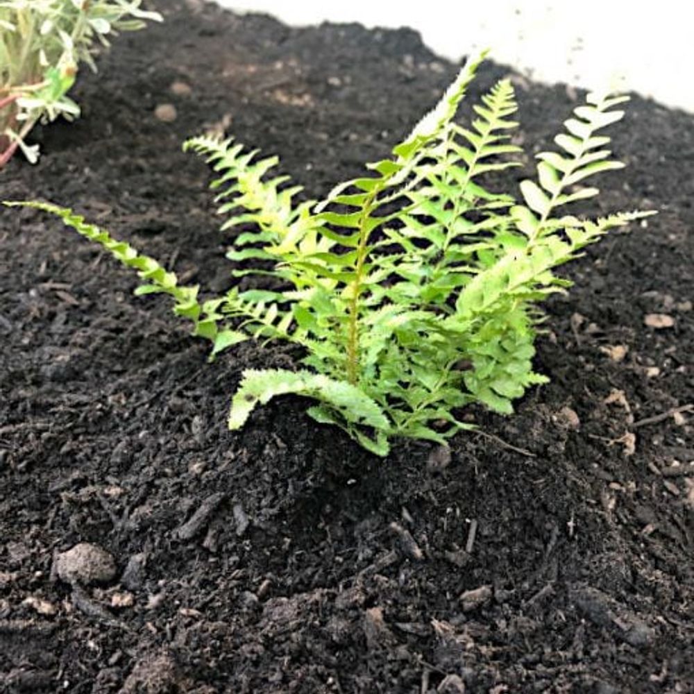 Wilco, Professional Planting Mix, 1.5 cu. ft.