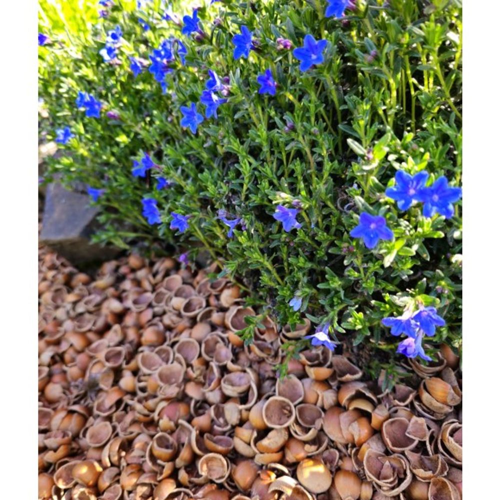 KP'S Harvest Time, Hazelnut Shell Mulch, 1.5 cu ft