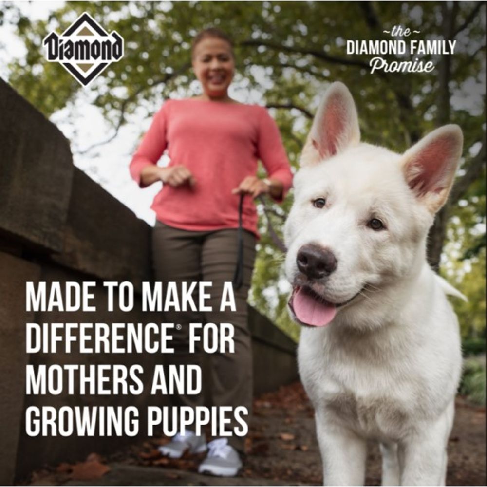 Diamond, Puppy Food