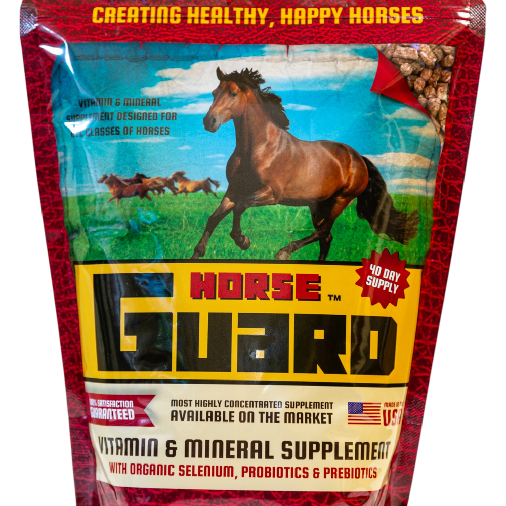 Horse Guard