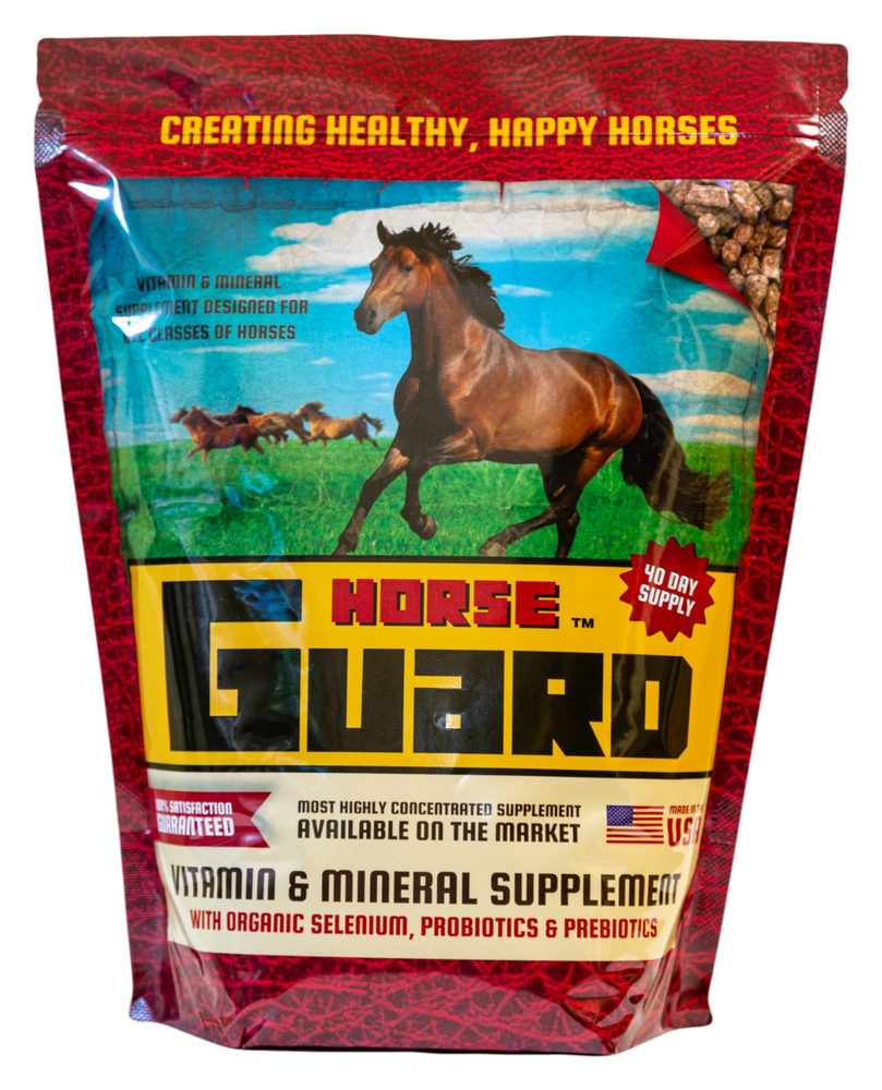Horse Guard