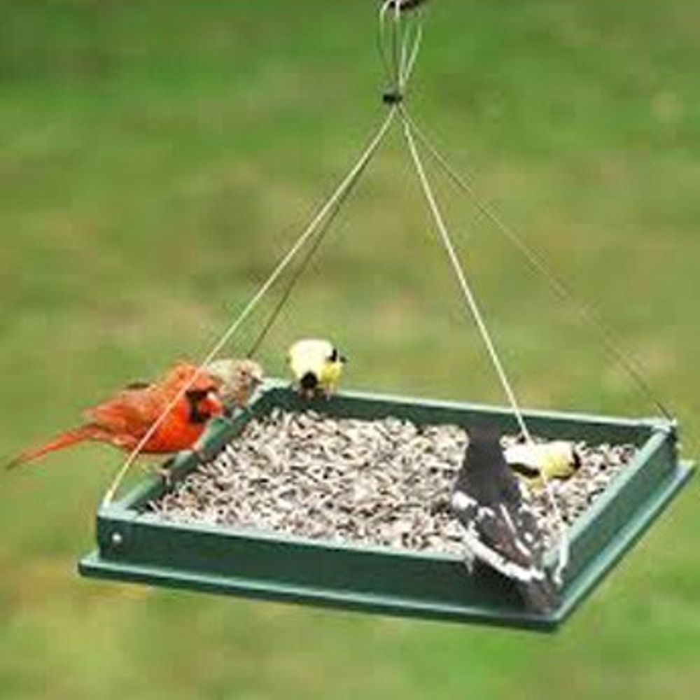 Songbird Essentials, Hanging Platform Bird Feeder