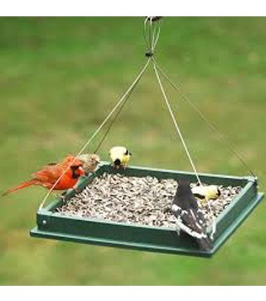 Songbird Essentials, Hanging Platform Bird Feeder
