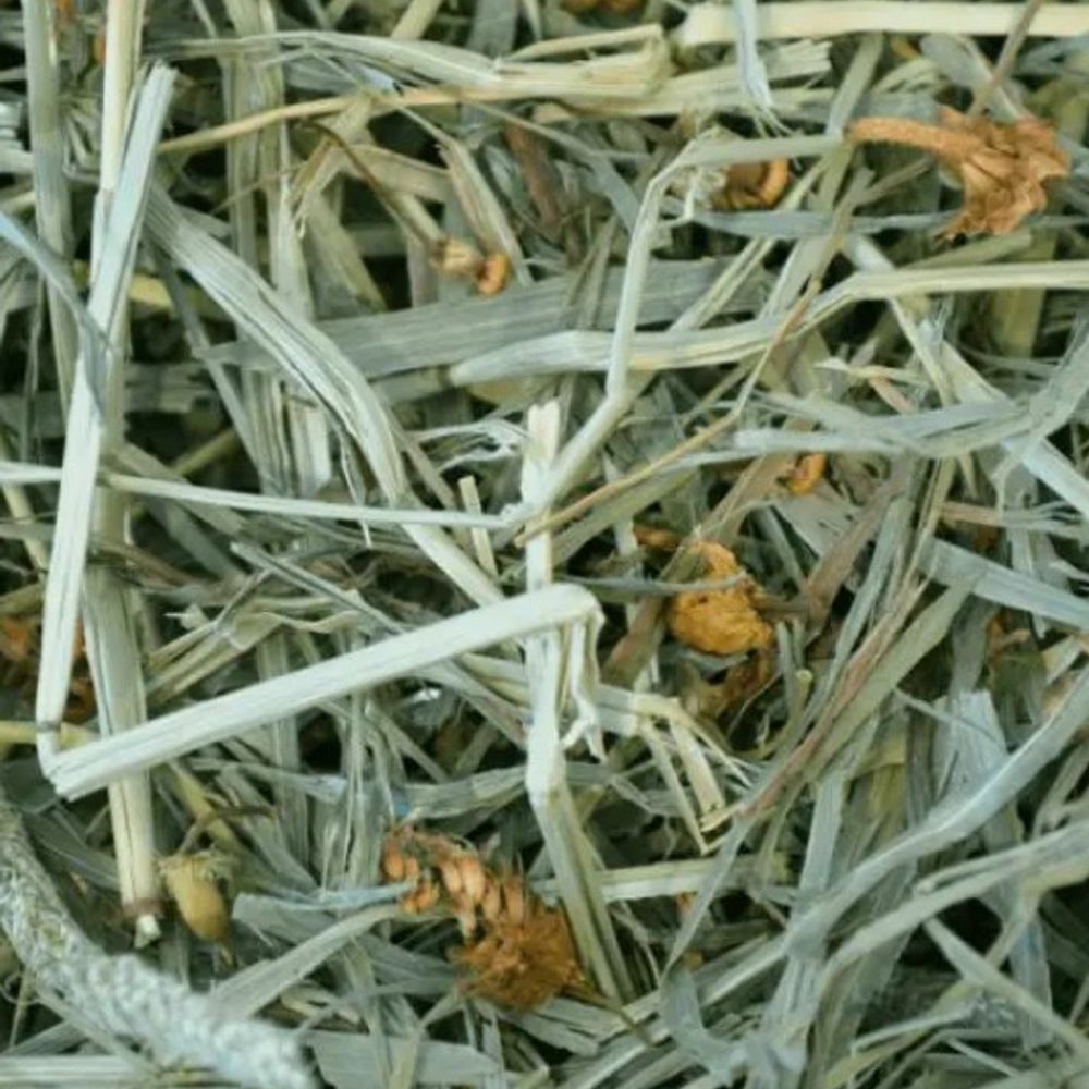 Oxbow, Botanical Hay, 15 oz