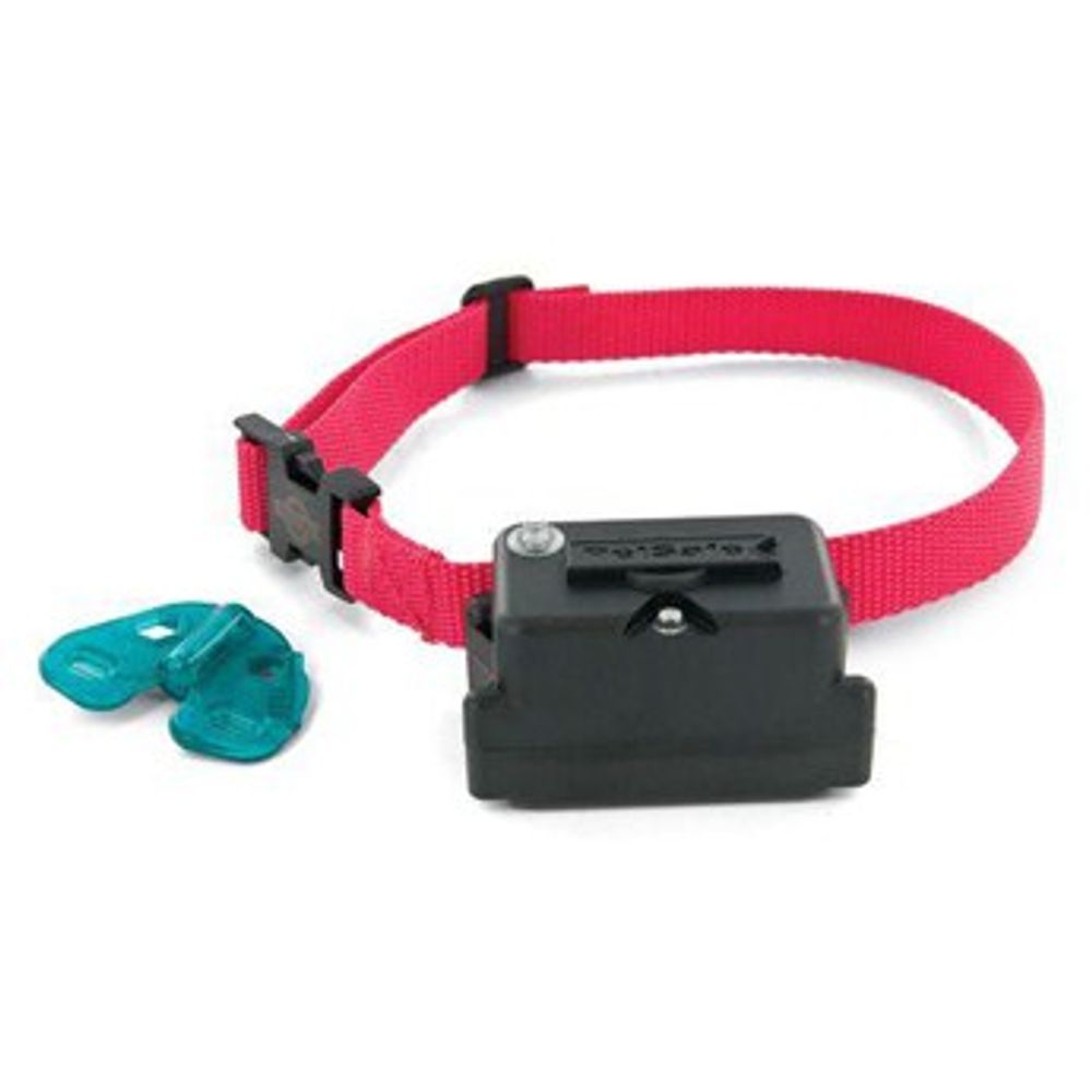 PetSafe Dog Receiver Collar, 6-28 inch.
