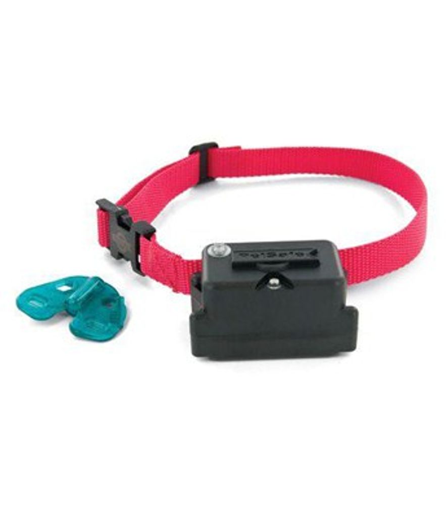 PetSafe Dog Receiver Collar, 6-28 inch.