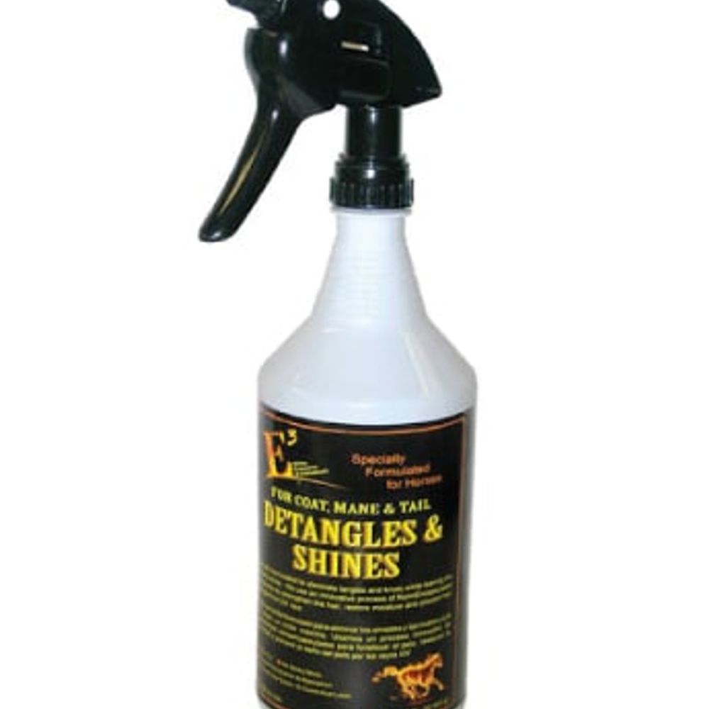 E3, Detangle Shine, 1 qt